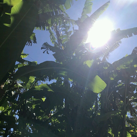 Meet your Posher, Kenzie - Picture 1 of 1